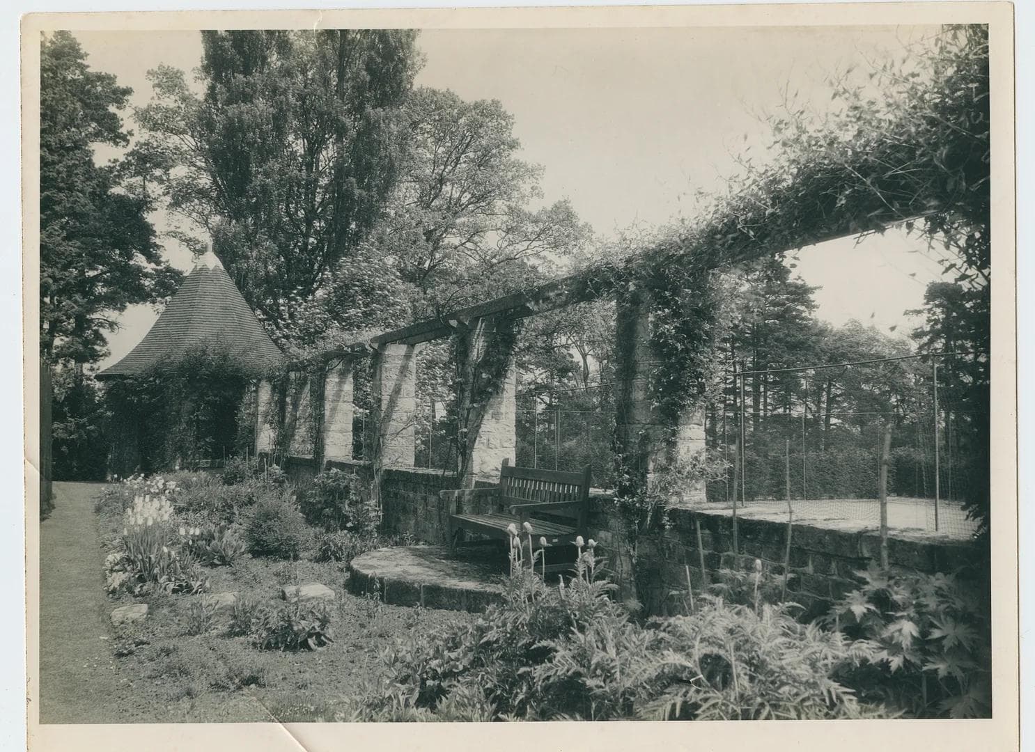 Old swimming pool garden wall