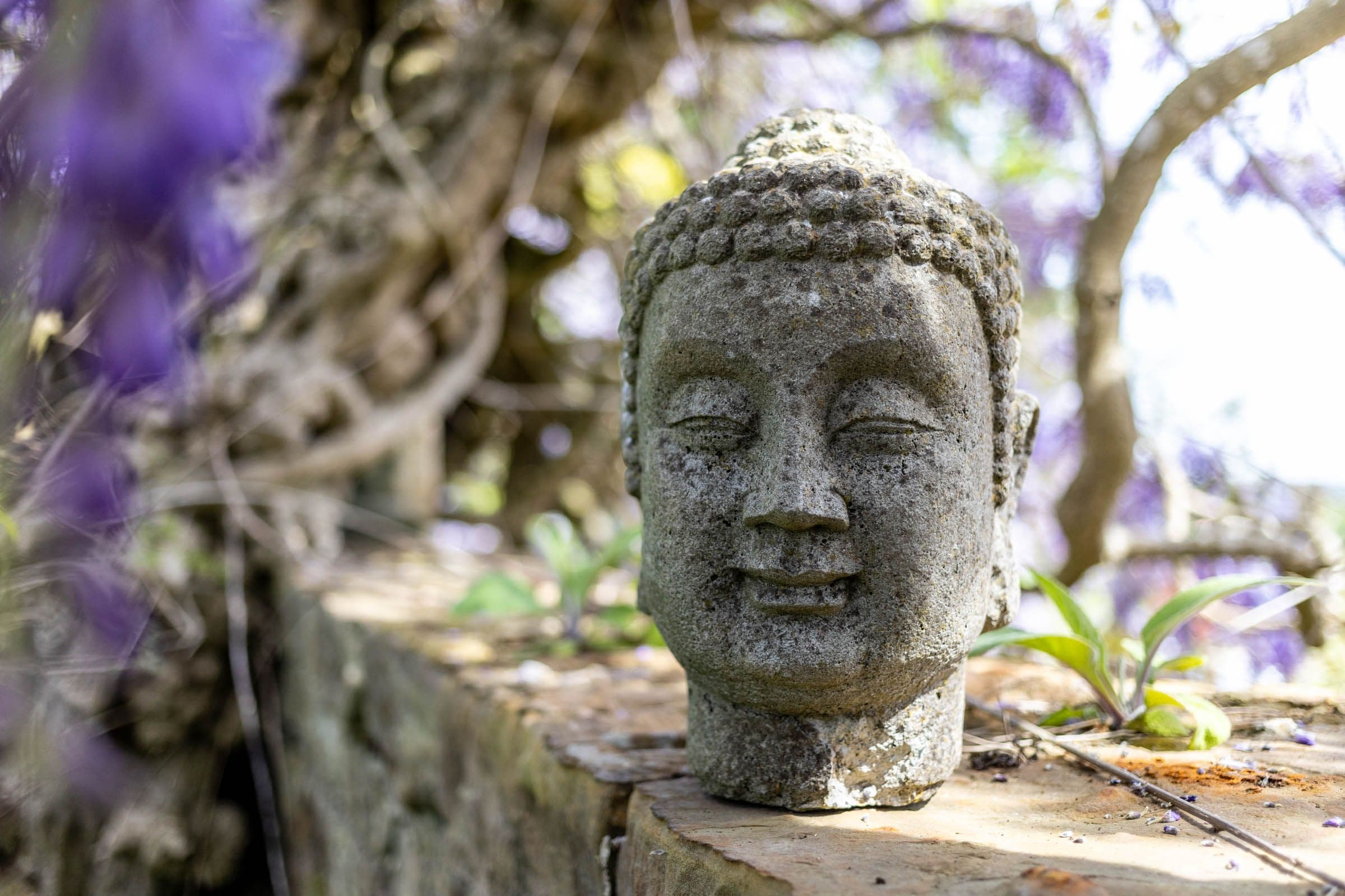 sound therapy at Knowle Grange