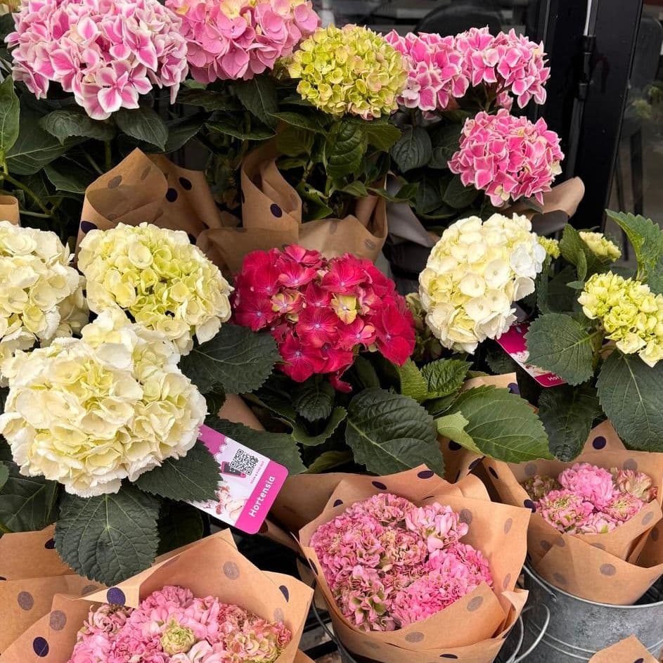 Display of pink and yellow flowers in buckets at Knowle Grange Cafe